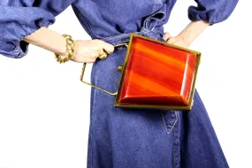 EMPRESS lucite purse with tortoiseshell finish