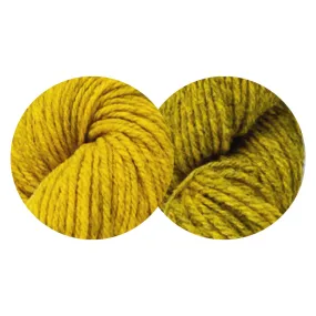 Harlow Worsted Kit (Goldfinch Overtone/Undertone)