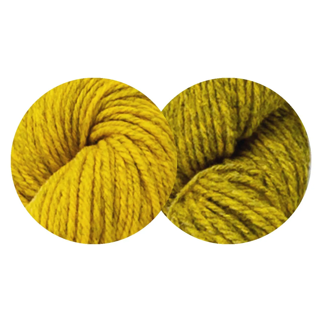 Harlow Worsted Kit (Goldfinch Overtone/Undertone)