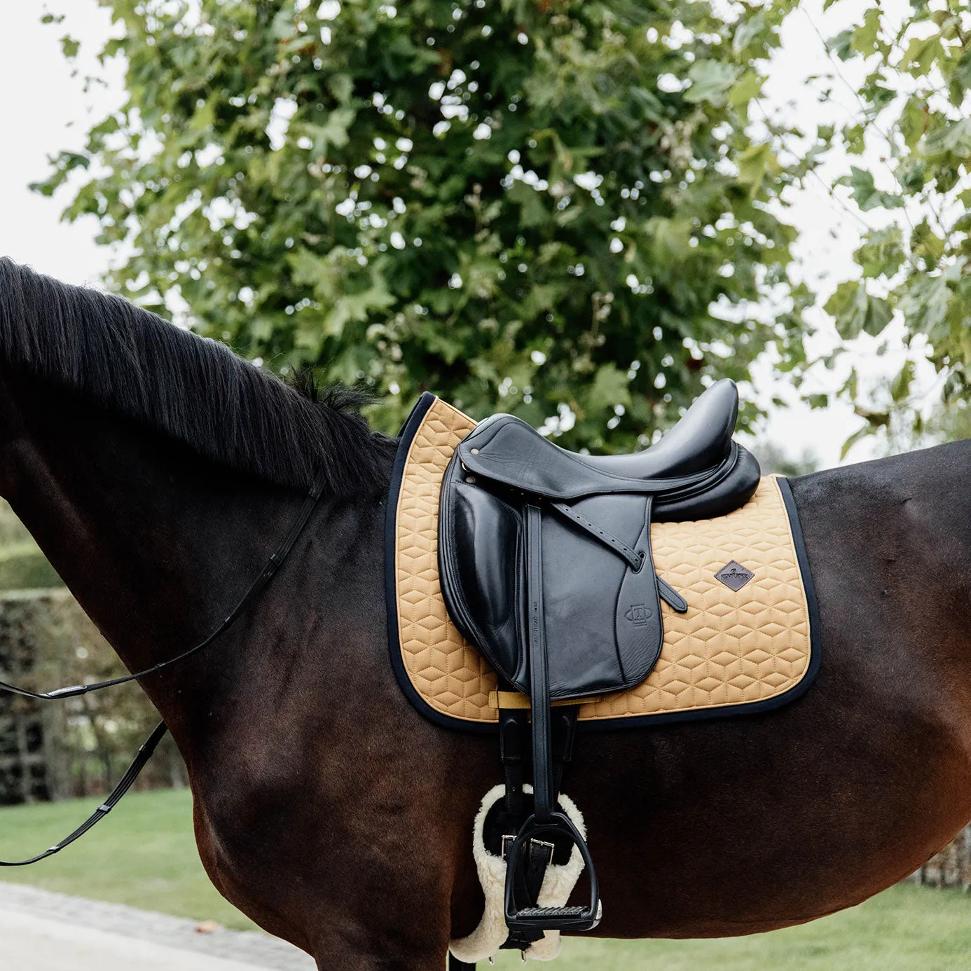 Kentucky Horsewear Softshell Dressage Saddle Cloth - Mustard