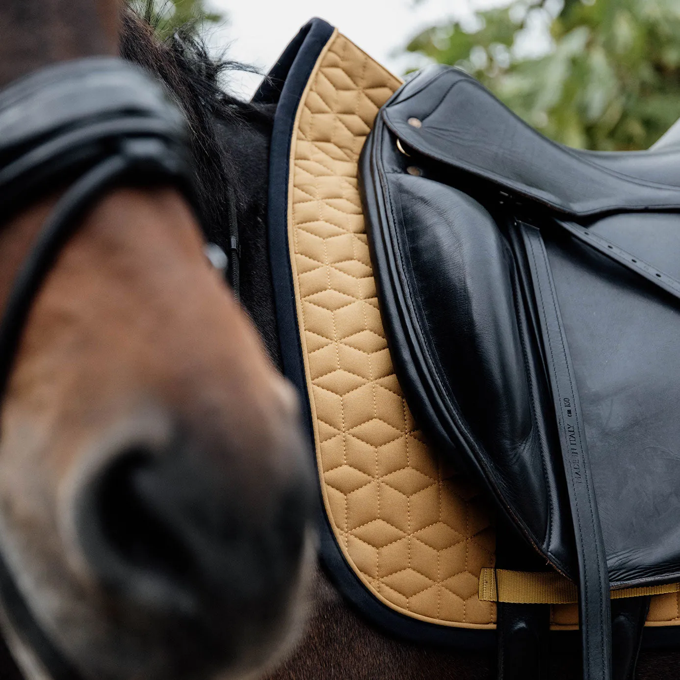 Kentucky Horsewear Softshell Dressage Saddle Cloth - Mustard