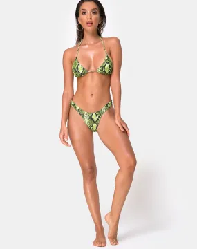 Pami Bikini Bottom in Slime Lime Snake